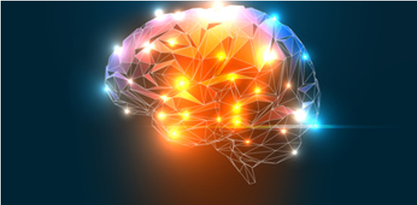 Wissenschaftlich nachgewiesen: Zahlreiche Studien belegen Wirksamkeit von Gehirntraining