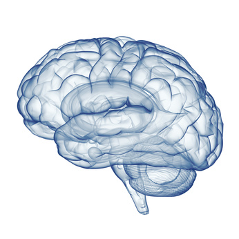 Kognitive Störung betrifft das Gehirn
